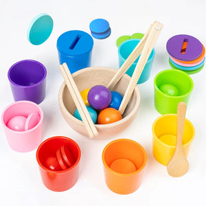 Jeux de tri éducatif Montessori