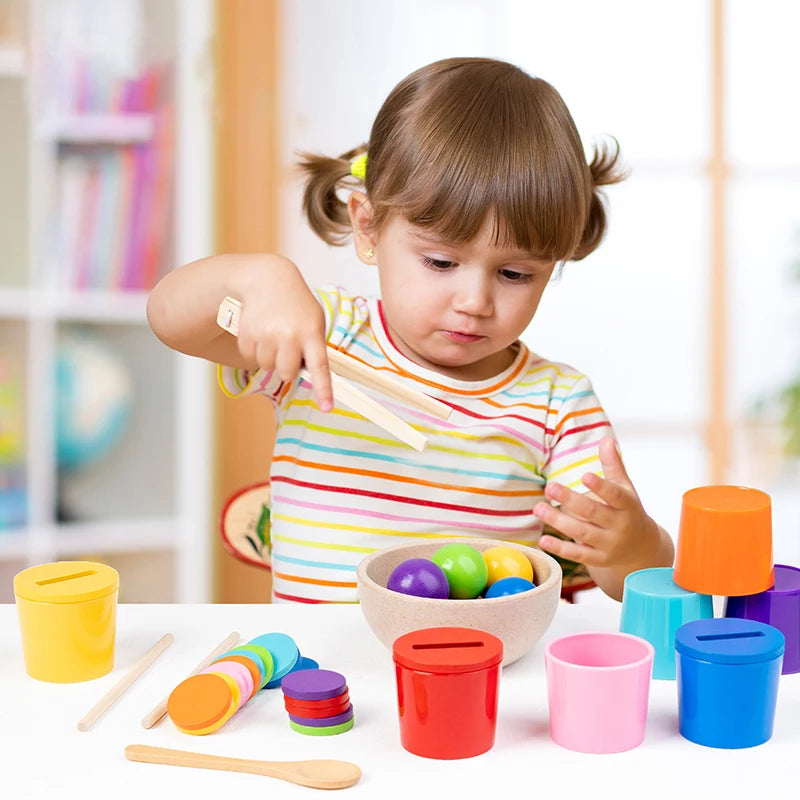 Jeux de tri éducatif Montessori